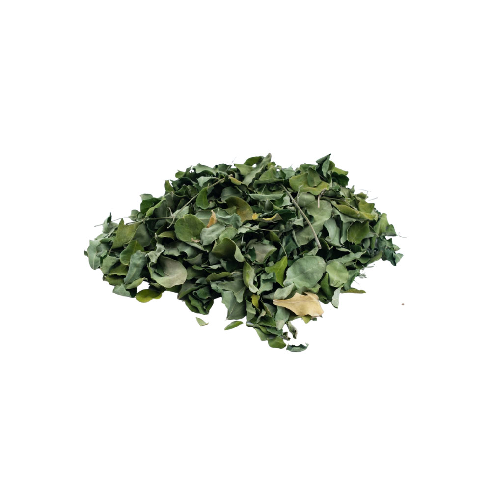 Moringa